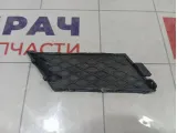 Заглушка бампера переднего Mercedes-Benz GL-класс A1668855122
