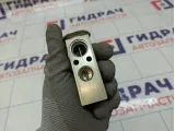 Клапан кондиционера Mercedes-Benz GL-класс 1668300284