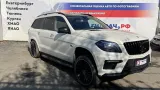 Ящик для инструментов Mercedes-Benz GL-класс A1668900007