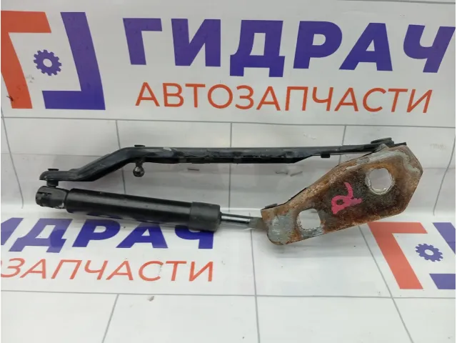Петля капота правая Mercedes-Benz M-класс A1638800428