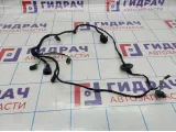 Проводка двери передней левой Mercedes-Benz CLA 200 (C117) A1175400705.