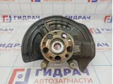 Кулак поворотный передний левый Mercedes-Benz CLA 200 (C117) 2463320100.