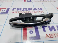 Ручка двери задняя наружняя правая Mercedes-Benz CLS-Class 500 (W219) 21976002709197