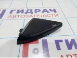 Крышка зеркала внутреняя левая с динамиком Mercedes-Benz CLS-Class 500 (W219) 21972501949051
