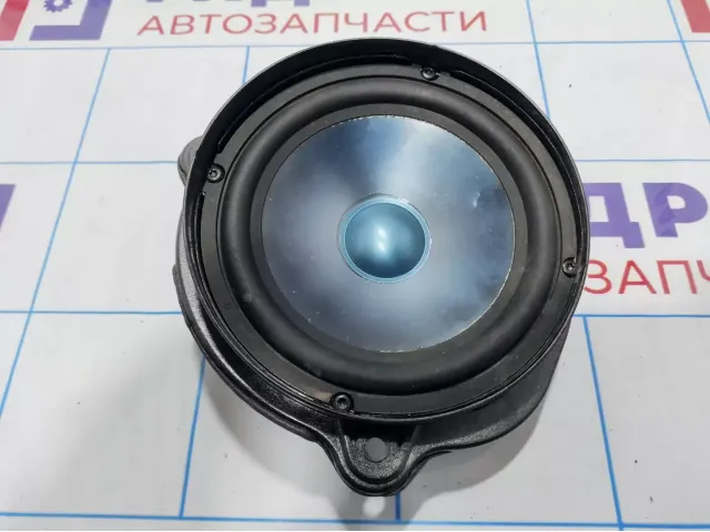 Динамик правый Mercedes-Benz CLS-Class 500 (W219) 2198200202
