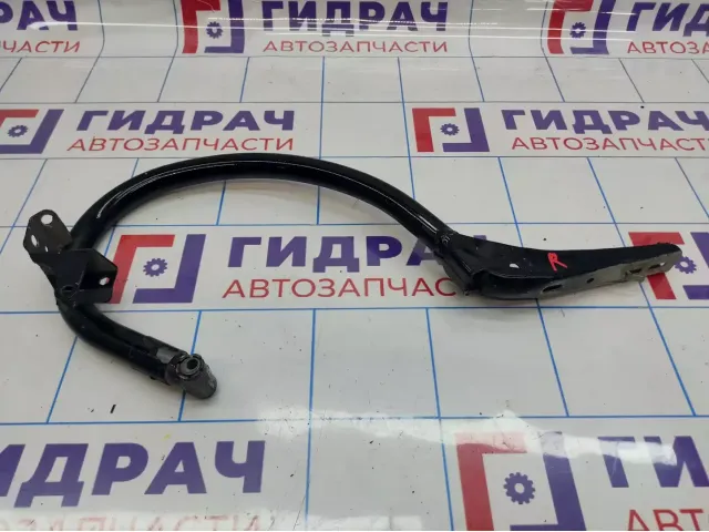 Петля крышки багажника правая Mercedes-Benz CLS-Class 500 (W219) 2197500228