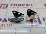 Петли двери передней правой Mercedes-Benz CLS-Class 500 (W219)