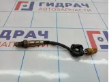 Датчик кислородный второй правый Mercedes-Benz CLS-Class 500 (W219) 0258006328