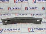 Наполнитель переднего бампера Mercedes-Benz CLS-Class 500 (W219) 2198851137