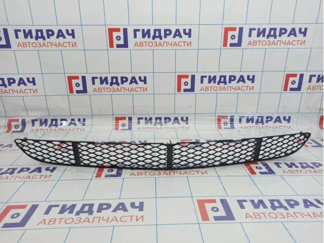 Решетка в бампер центральная Mercedes-Benz CLS-Class 500 (W219) 2198850053
