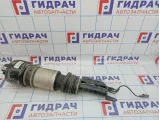 Амортизатор передний левый Mercedes-Benz CLS-Class 500 (W219) 2193201113