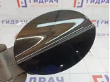 Лючок бензобака Mercedes-Benz CLS-Class 500 (W219) 2197570106