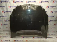 Капот Mercedes-Benz CLS-Class 500 (W219) 2198800357