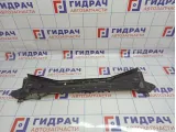 Элемент передней панели верхняя часть Mercedes-Benz CLS-Class 500 (W219) 2196200916
