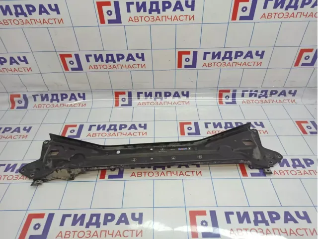 Элемент передней панели верхняя часть Mercedes-Benz CLS-Class 500 (W219) 2196200916