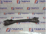 Элемент передней панели верхняя часть Mercedes-Benz CLS-Class 500 (W219) 2196200916
