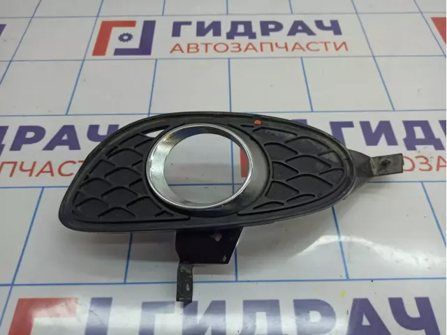 Решетка в бампер левая Mercedes-Benz CLS-Class 500 (W219) 2198850523