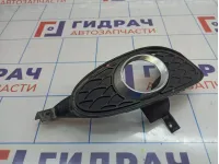 Решетка в бампер правая Mercedes-Benz CLS-Class 500 (W219) 2198850623