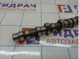 Распредвал левый Mercedes-Benz ML55AMG (W163) 1130503901