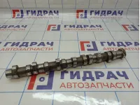 Распредвал правый Mercedes-Benz ML55AMG (W163) 1130503801