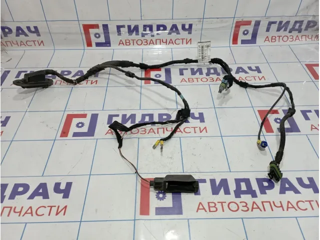 Проводка двери задней Mercedes-Benz ML55AMG (W163) 1635400634