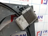Вентилятор радиатора Mercedes-Benz ML55AMG (W163) 1635000293