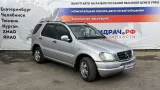 Антенна Mercedes-Benz ML (W163) 2028202389