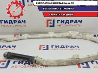 Подушка безопасности боковая (шторка) правая Mercedes-Benz S500L W220 2208600805.