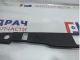 Накладка крышки багажника Mercedes-Benz S500L W220 2207500293.
