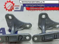 Петли двери передней правой Mercedes-Benz S500L W220 .
