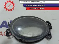 Фара противотуманная правая Mercedes-Benz S500L W220 1698201656.