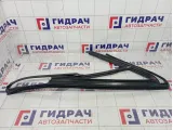 Уплотнитель стекла двери задней правой Mercedes-Benz GL (X166) 1667350425