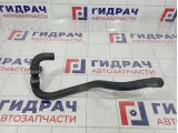 Шланг системы охлаждения Mercedes-Benz GL (X166) 1668304996