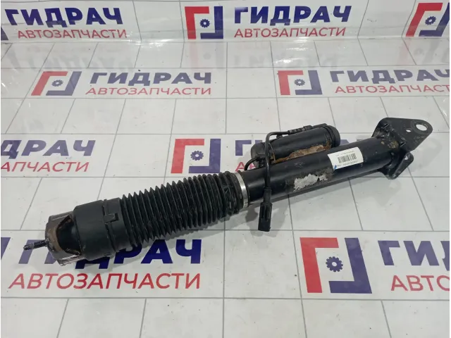 Амортизатор задний Mercedes-Benz GL (X166) 1663200930
