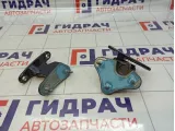 Петли двери задней правой Mercedes-Benz GL (X166)