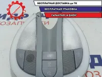 Плафон салонный Mercedes-Benz W211 2118204201.