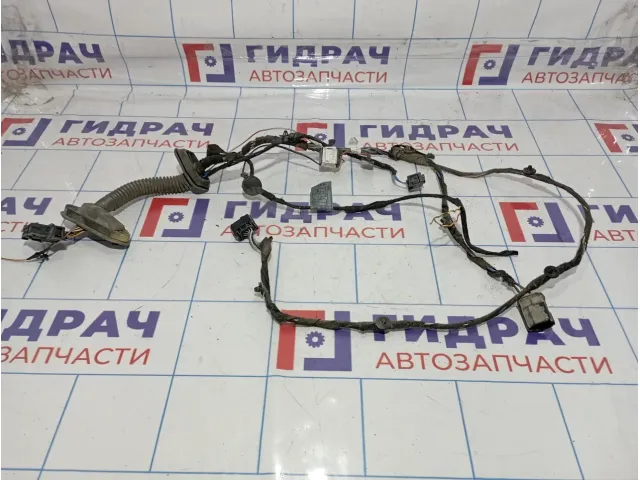 Проводка двери передней левой Mini Cooper (R50)