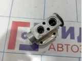 Клапан кондиционера Mini Cooper (R50) 64516924984