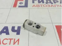 Клапан кондиционера Mitsubishi ASX 7810A126