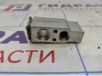 Клапан кондиционера Mitsubishi ASX 7810A126.