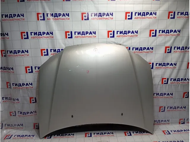 Капот Mitsubishi Airtrek