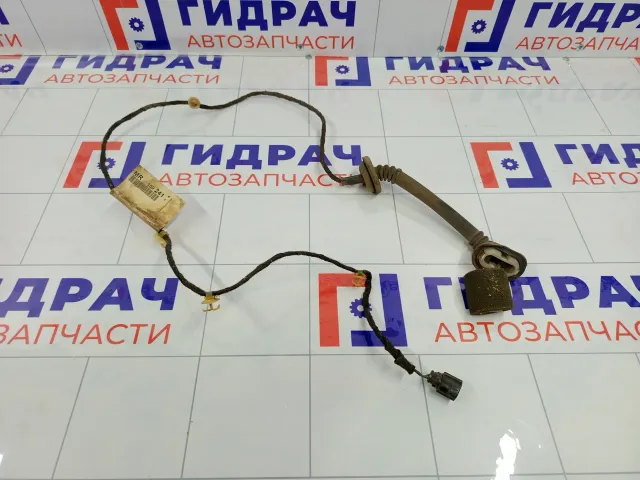 Проводка двери задней правой Mitsubishi Carisma MR159241