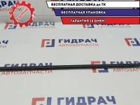 Накладка стекла переднего левого Mitsubishi L200 MN117611. Наружняя.