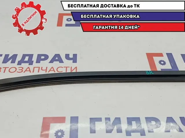 Уплотнитель стекла двери задней правой Mitsubishi L200 MN117622. Внутренний.