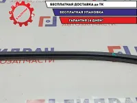 Уплотнитель стекла двери задней левой Mitsubishi L200 MN117621. Внутренний.