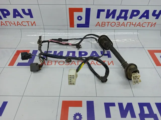 Проводка двери задней Mitsubishi Lancer MN124810