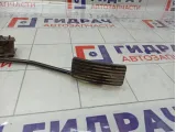 Педаль газа Mitsubishi Lancer MR493833