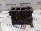 Блок цилиндров Mitsubishi Lancer 1050A817