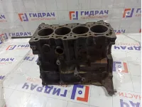 Блок цилиндров Mitsubishi Lancer 1050A817