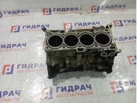 Блок цилиндров Mitsubishi Lancer MN163642